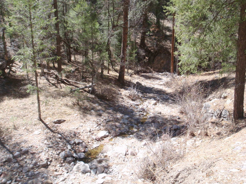 Side view of a creek, not a whole lot of water.